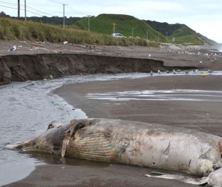 【写真】そこに物語あり(71)浦幌・オタフンベチャシ