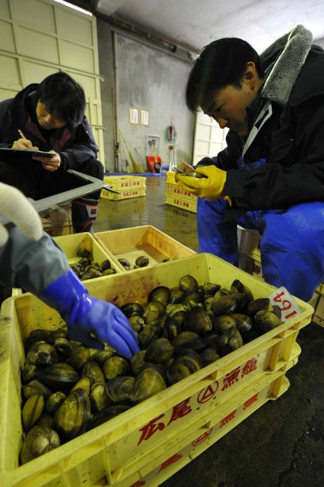 【写真】広尾でホッキ資源調査実施 