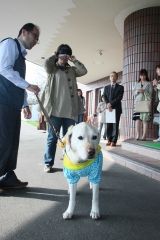 盲導犬との歩行を体験　十勝獣医師会が企画  写真2