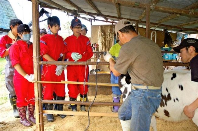 【写真】牧場で酪農体験　忠類中３年１７人 