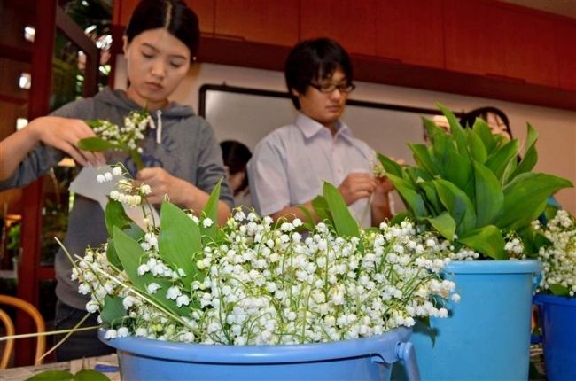 【写真】姉妹都市松崎町にスズラン発送　帯広市が準備