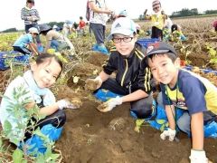 うれしそうにジャガイモ「マチルダ」を収穫する子供たち