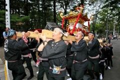威勢良くみこし渡御　芽室神社秋季例大祭  11