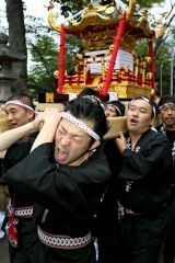 威勢良くみこし渡御　芽室神社秋季例大祭  12