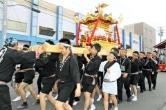 威勢良くみこし渡御　芽室神社秋季例大祭  3