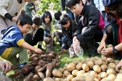 食やステージイベントで大盛り上がり　鹿追産業まつり  4