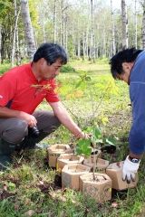 １２人が植樹　大樹・インカルシペの森の会  2