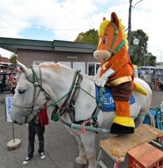 ばん馬まつり初日にぎわう　屋台などに列  9