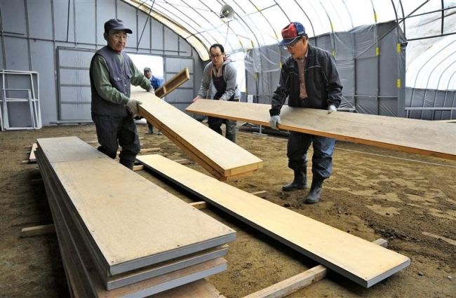 【写真】おびひろ菊まつり会場準備着々 29日開幕