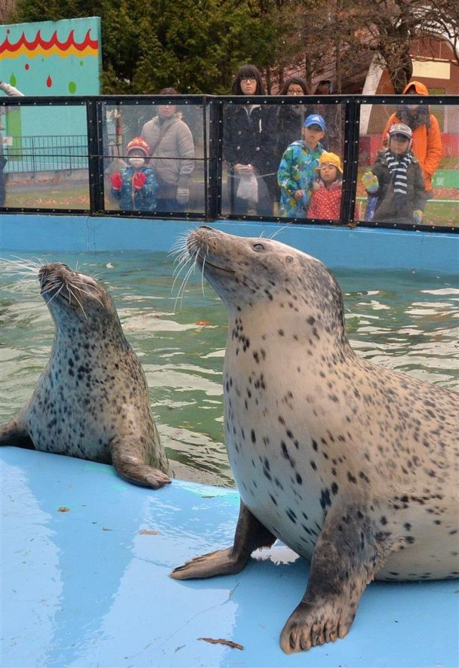 親子連れなど歓声　おびひろ動物園夏季営業終了 