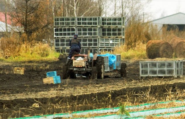 アルバイトの高校生、農作業事故で死亡　帯広