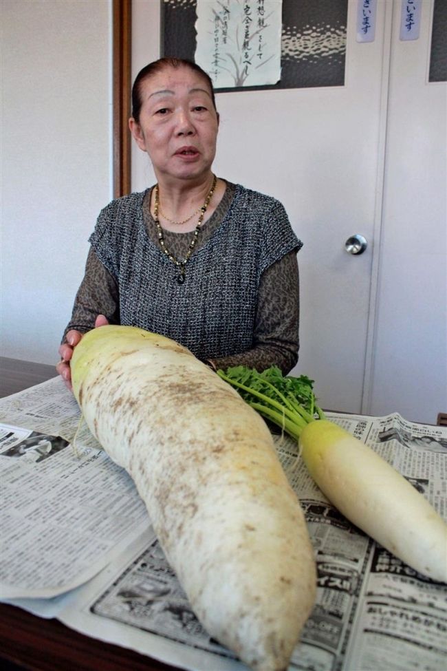 新得の國枝さん宅に巨大ダイコン 