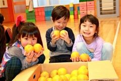 静岡県松崎町からポンカン　保育所などに配布  2