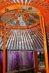 縄がほどかれ、防水シート、毛布がめくれて露出した天井