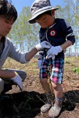 育ってほしいと願いを込めて苗木の周りを踏み固める親子連れ
