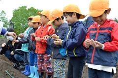 ふれあい農園で初めて見るトウモロコシの種を手に笑顔を見せる木野南保育園の園児