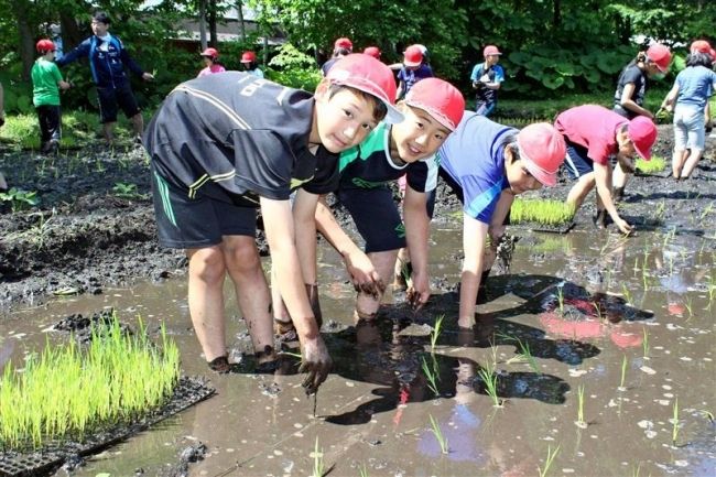 【写真】共働学舎で小学生が田植え体験　新得 