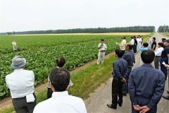 ビート畑を視察する農業や行政の関係者