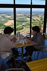 天空カフェの屋内から見える小麦やジャガイモの畑