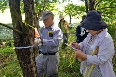 自然そのまんま美術館が森の観察会　音更  4