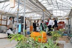 チョウザメ飼育やマンゴー栽培見学　東京鹿追会  2