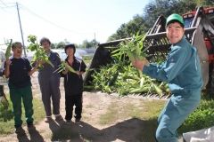 絶品トウモロコシ味わって 帯広ケアセンター