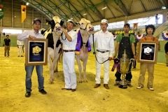 清水町の田中牧場2位 乳牛改良全道大会
