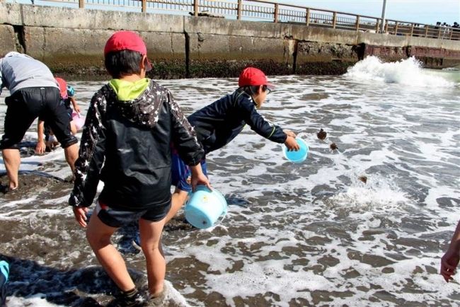 【写真】児童がマツカワの稚魚を放流　大樹 