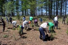 アカエゾマツを３００本植えた植樹祭