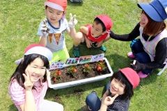 園児が「人権の花」植え　芽室・かしわ保育園 3