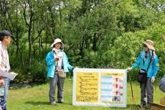 草花や木々に触れる　音更・お花ウオッチング 3