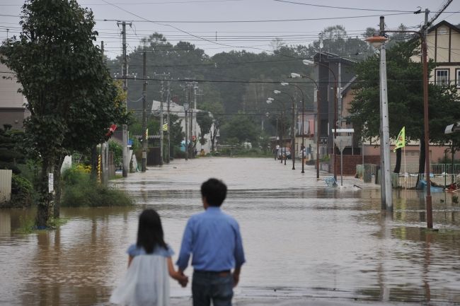 【写真】台風10号 十勝の被害状況