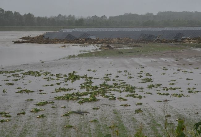 【写真】台風10号 十勝の被害状況