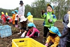 園児が楽しくイモ掘り　大樹 2