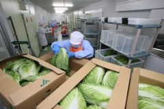 野菜高騰、給食に影