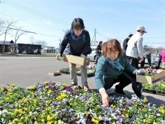 色とりどりの花を選ぶ来場者