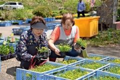 かぶとの里で花市　陸別 2