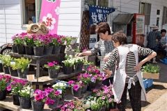 かぶとの里で花市　陸別 3