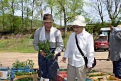 かぶとの里で花市　陸別 5