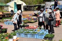 かぶとの里で花市　陸別 6