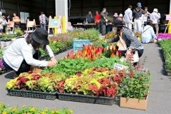 大勢が詰め掛けたしかおい花市