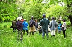 大正ヌップクの森で自然観察会、洪水の危険性も学ぶ 2