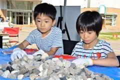 火山や岩石のことを学び、標本箱作りを楽しむ子どもたち