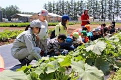 障害児ら帯農高生などと交流　すこやか農園生育調査