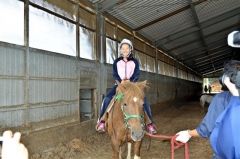 子どもたちが馬と触れ合う　陸別　１５年続く事業 4