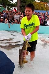 秋サケつかみ取りに歓声　大樹・柏林公園まつり 4