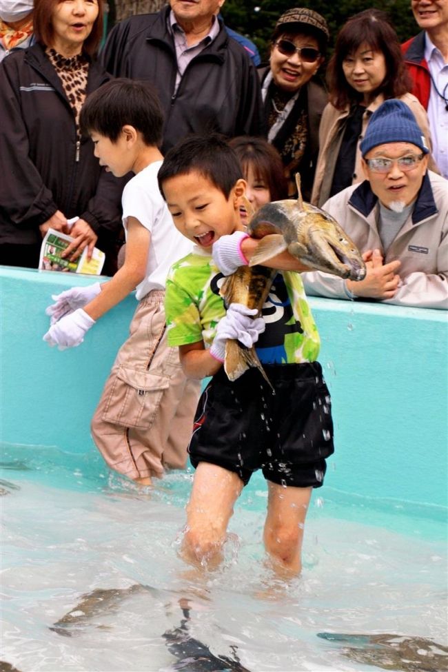 秋サケつかみ取りに歓声　大樹・柏林公園まつり