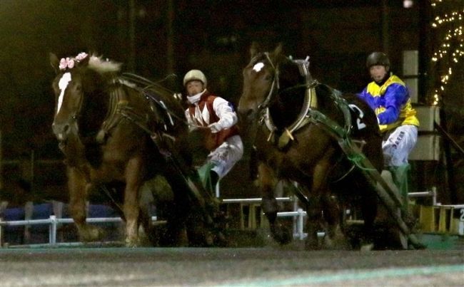 コウシュハサマー重賞初制覇　ばんえい菊花賞