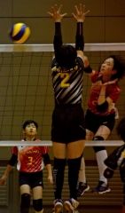 豊頃2年ぶり女子V、全十勝小学バレーBクラス大会