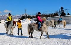 ３０人が初乗り楽しむ　鹿追・乗馬安全祈願祭